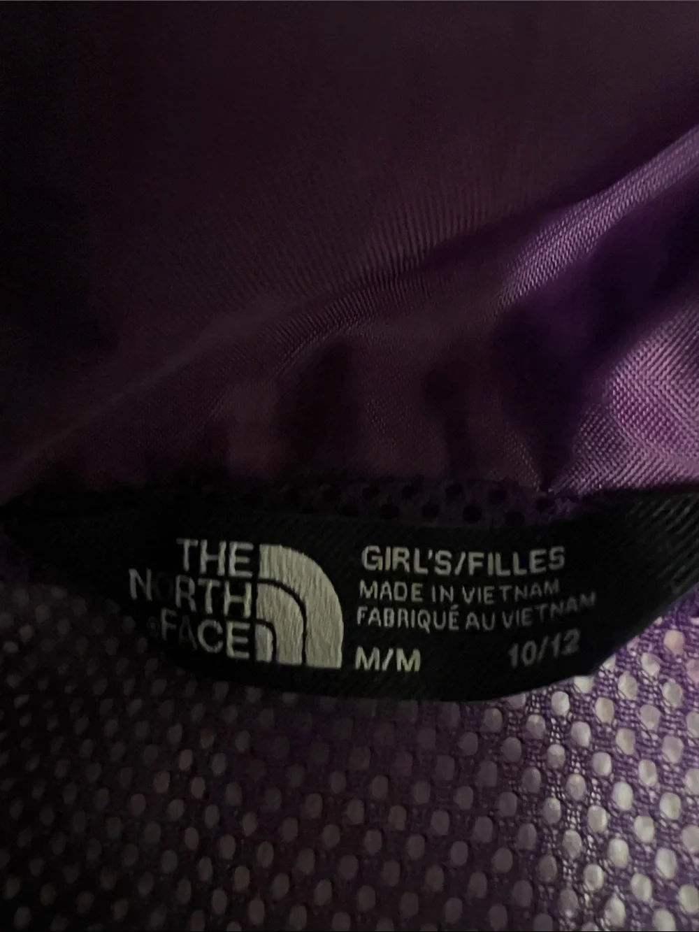 The North Face Purple and Magenta Waterproof Hooded Jacket